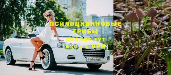 стафф Волоколамск