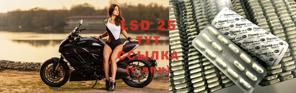 стафф Волоколамск