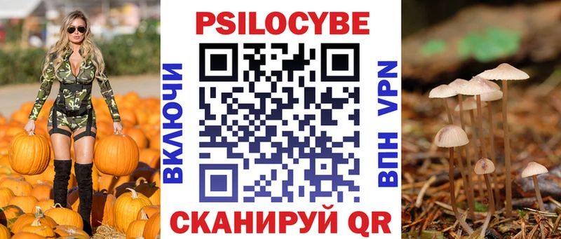 Псилоцибиновые грибы Cubensis  Купить закладки  Сердобск 